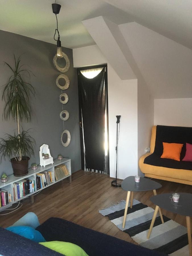Stan Na Dan Loznica Appartement Buitenkant foto