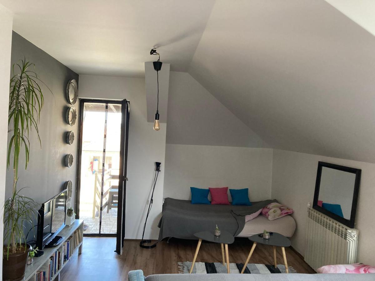 Stan Na Dan Loznica Appartement Buitenkant foto