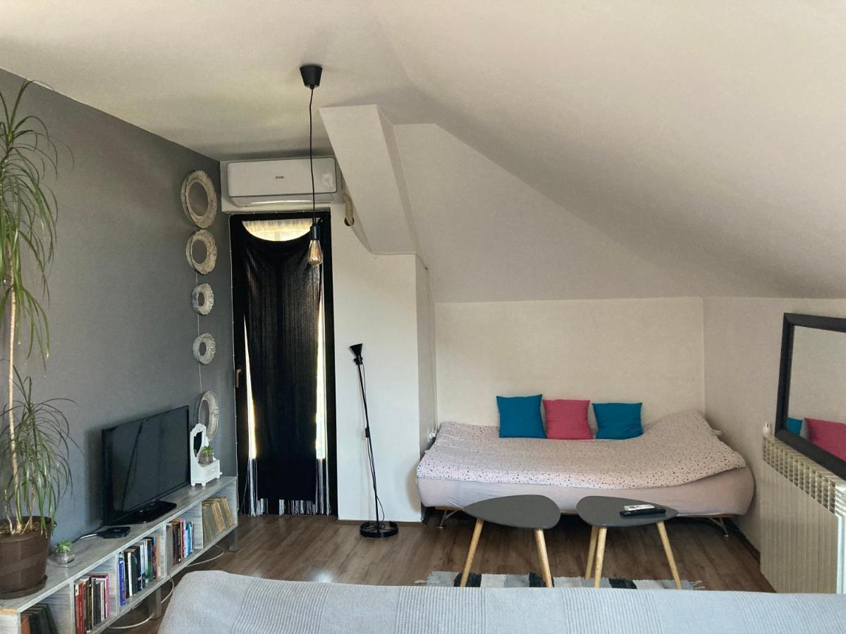 Stan Na Dan Loznica Appartement Buitenkant foto