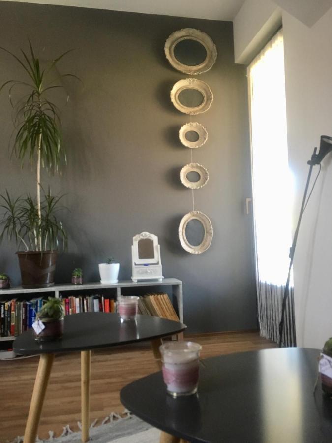 Stan Na Dan Loznica Appartement Buitenkant foto